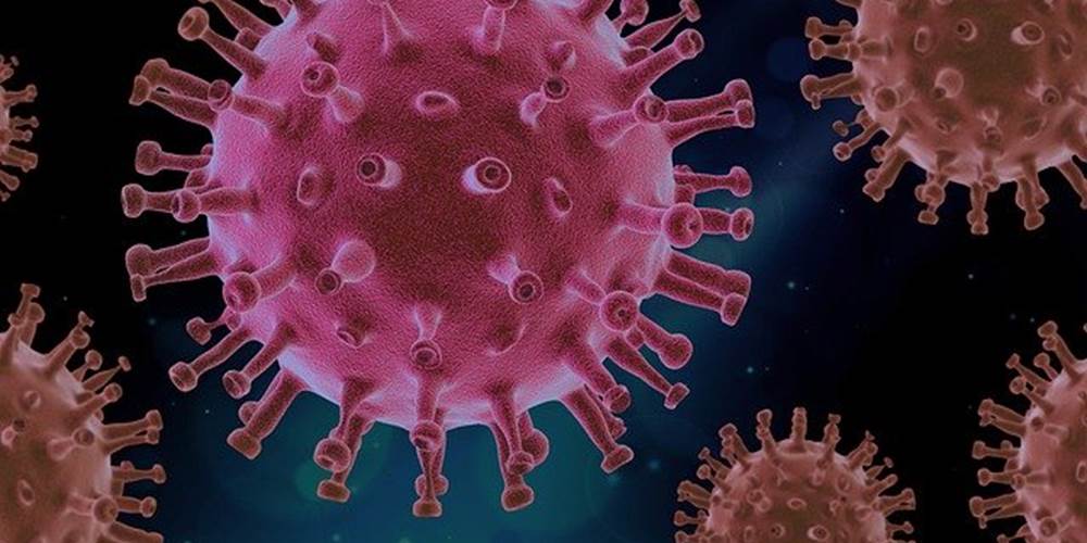 Virus 4937553 640